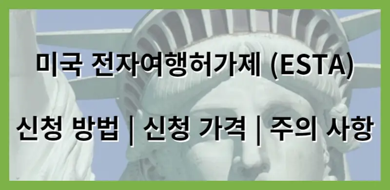 미국 전자여행허가제 (ESTA)