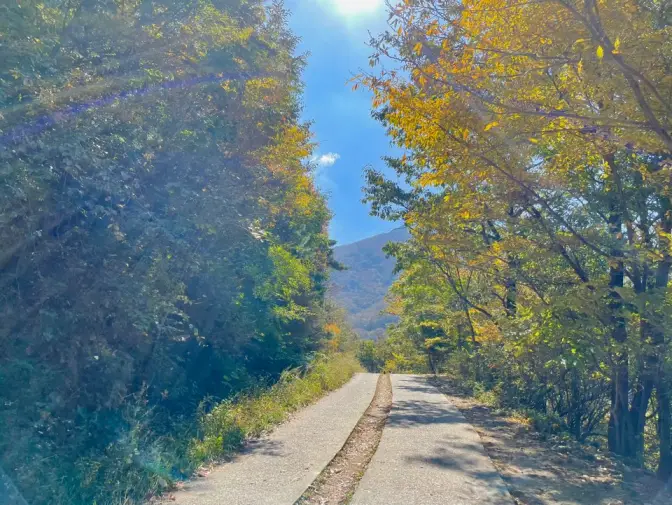 간월재 울산 10월 11월 억새풀 명소 사슴농원 코스, 휴게소, 간월산 정산