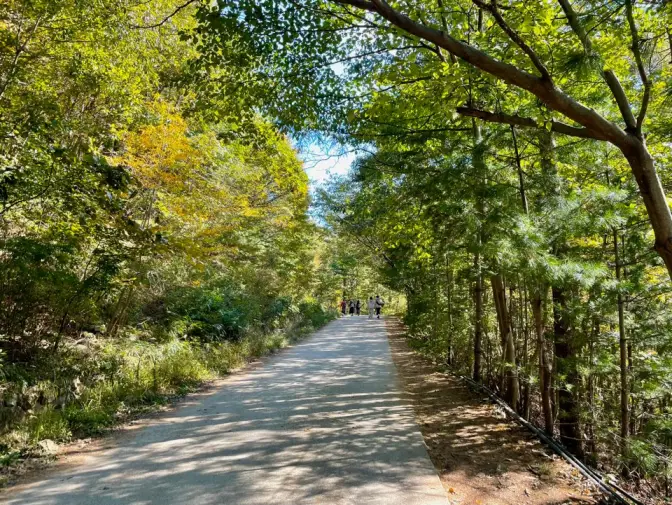 간월재 울산 10월 11월 억새풀 명소 사슴농원 코스, 휴게소, 간월산 정산