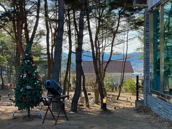 경주 매일 눈이 내리는 감성 대형 카페 소디스커피